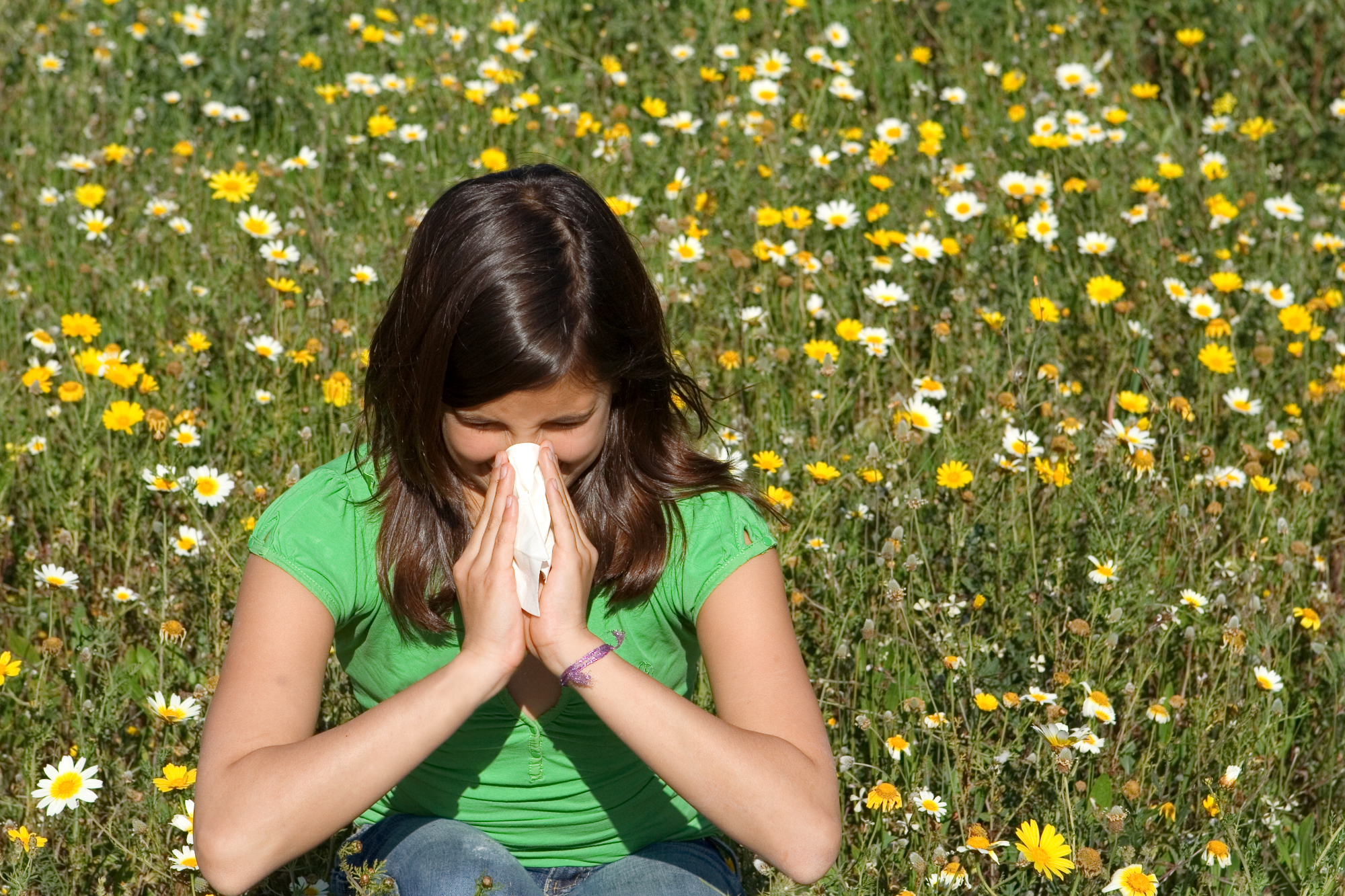 Alergije – zakaj jih je vse več?